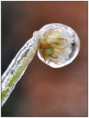 /album/zimne/dsc-1084-jpg/